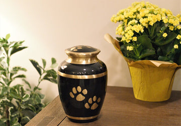 Cute Paws : Pet Cremation Urn for Dog Ashes | Brass Dark Gray Pet Urn | Memorial Dog Urn | Golden Handcrafted Paws Pet Urn | Size 8" & 5.25"