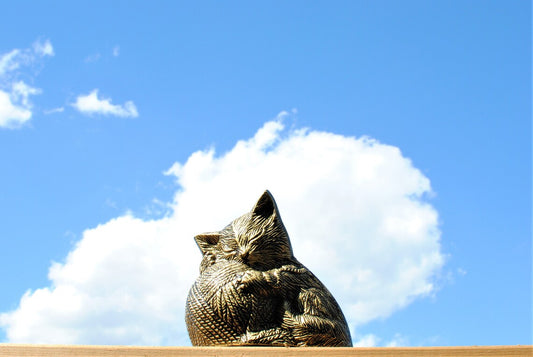 Cat Cremation Urn | Peaceful Cat Urn | Engraved Golden Bronze Urn for Cat Ashes | Memorial Pet Loss Gift Urn | 5.5" X 3.5" X 5.5"