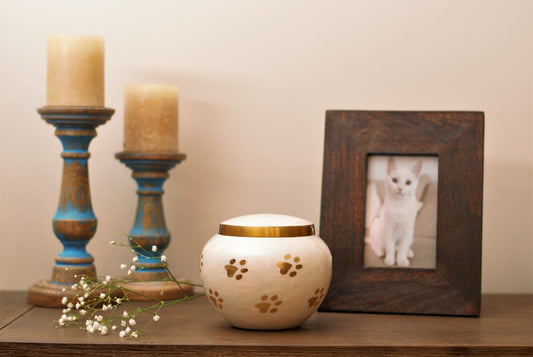 Cute Golden Paws : Pet Ashes Cremation Urn | Pearl White Pet Urn | Dog Urn | Cat Urn | Handcrafted Round Shape Pet Urn | 6" X 4.6"