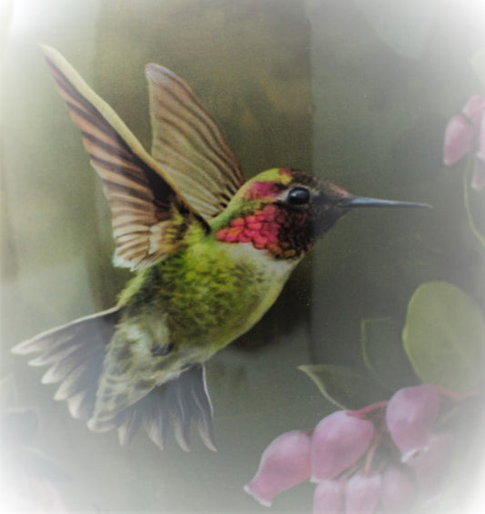 Anna's Hummingbird : Cremation Urn for Human Ashes | Handcrafted Green Hummingbird Urn | Adult Memorial Urn | Large 10.5"